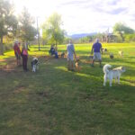 Dog Park copy