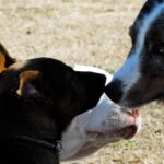 12594022_10205360298193986_7127080244152562139_o