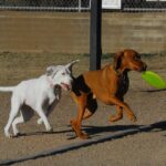 207684_10151338304288430_1600088229_n