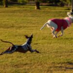 664462_3819511693359_1819316454_o